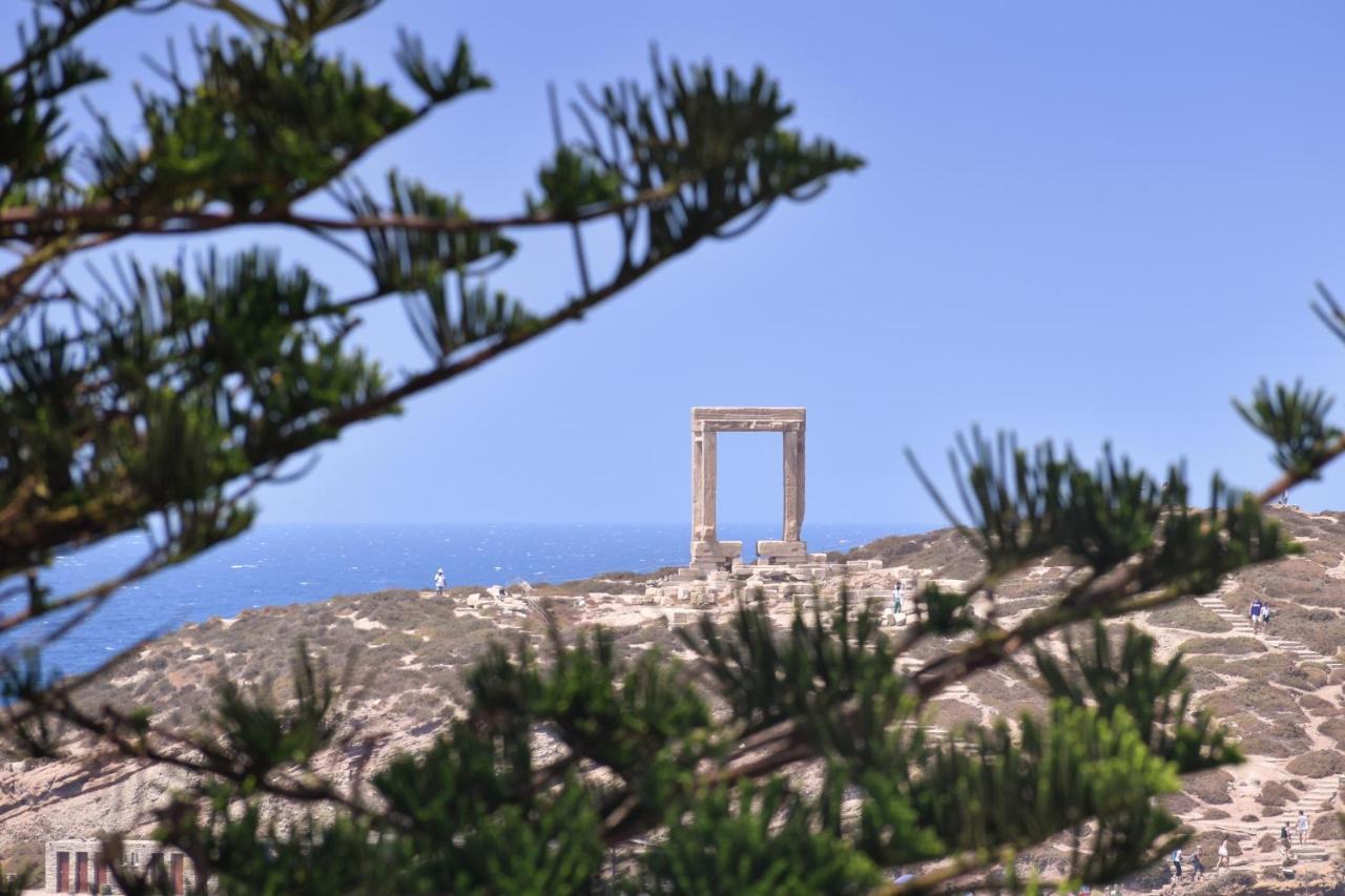 Mariet Naxos Spa & Suites Naxos City Bagian luar foto